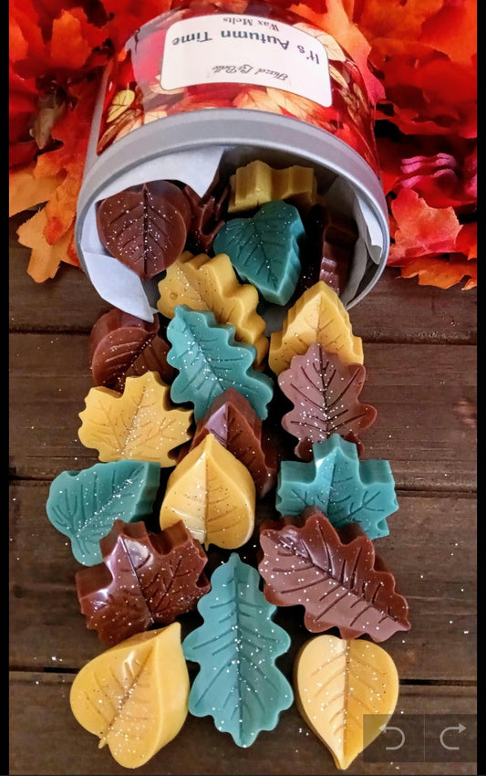 It's Autumn Time Wax Melts