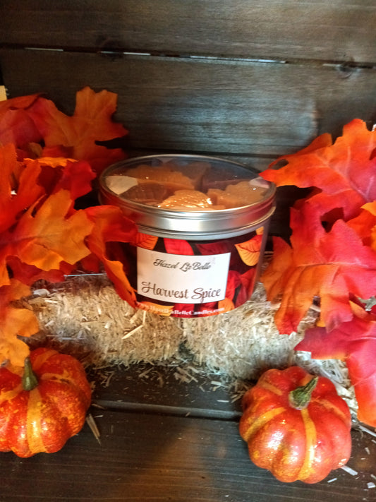 Harvest Spice Wax Melts 🍂Fall Leaves🍂 7 oz to 8oz