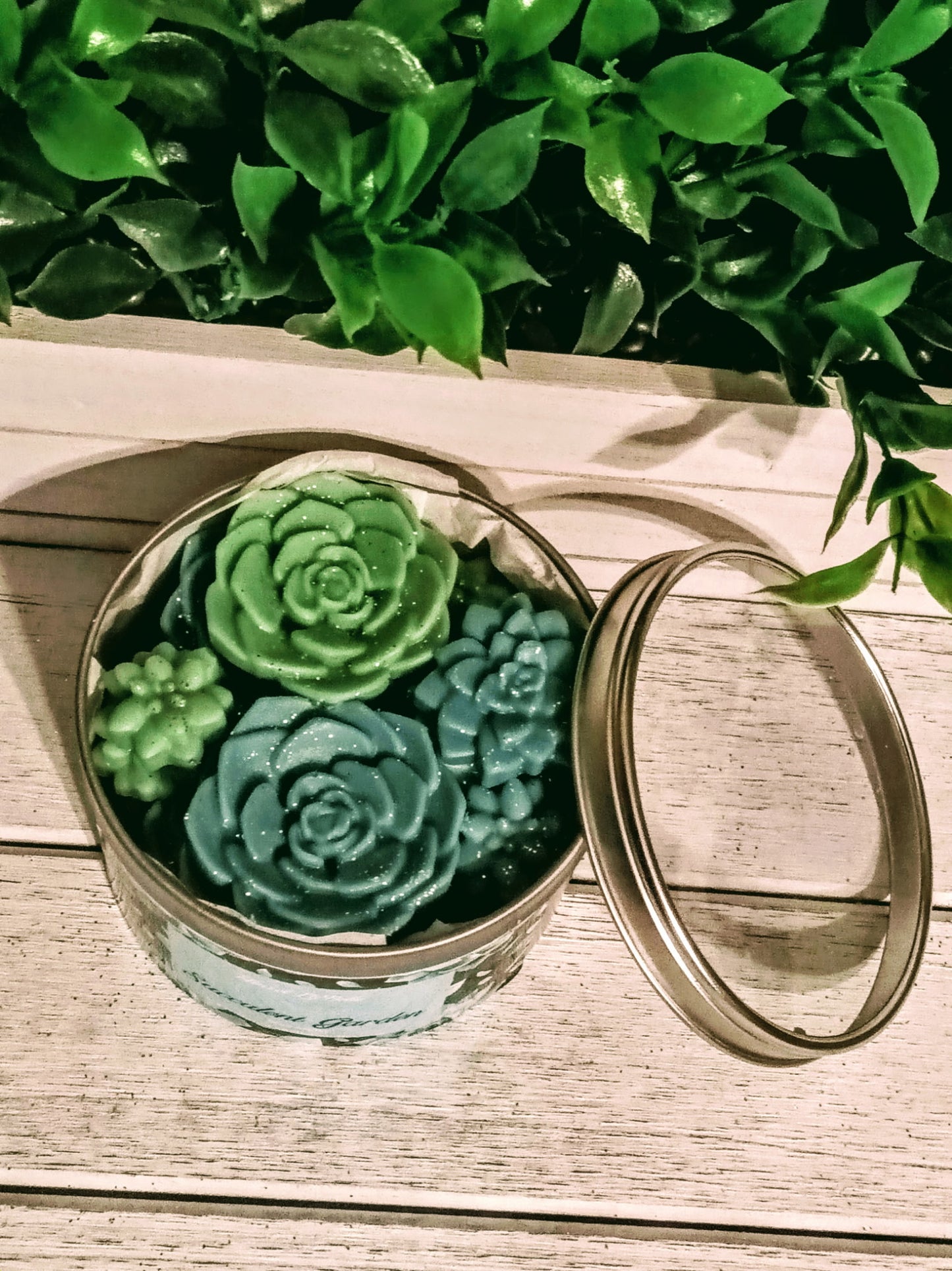 Succulent Garden Wax Melts