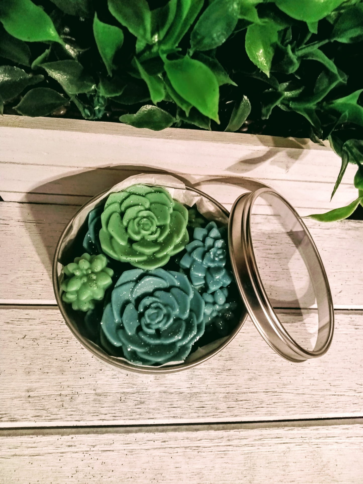 Succulent Garden Wax Melts